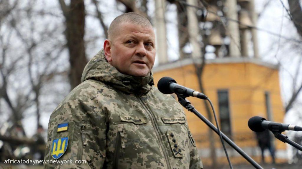 War Almost 9,000 Ukrainian Military Have Died - Army Chief