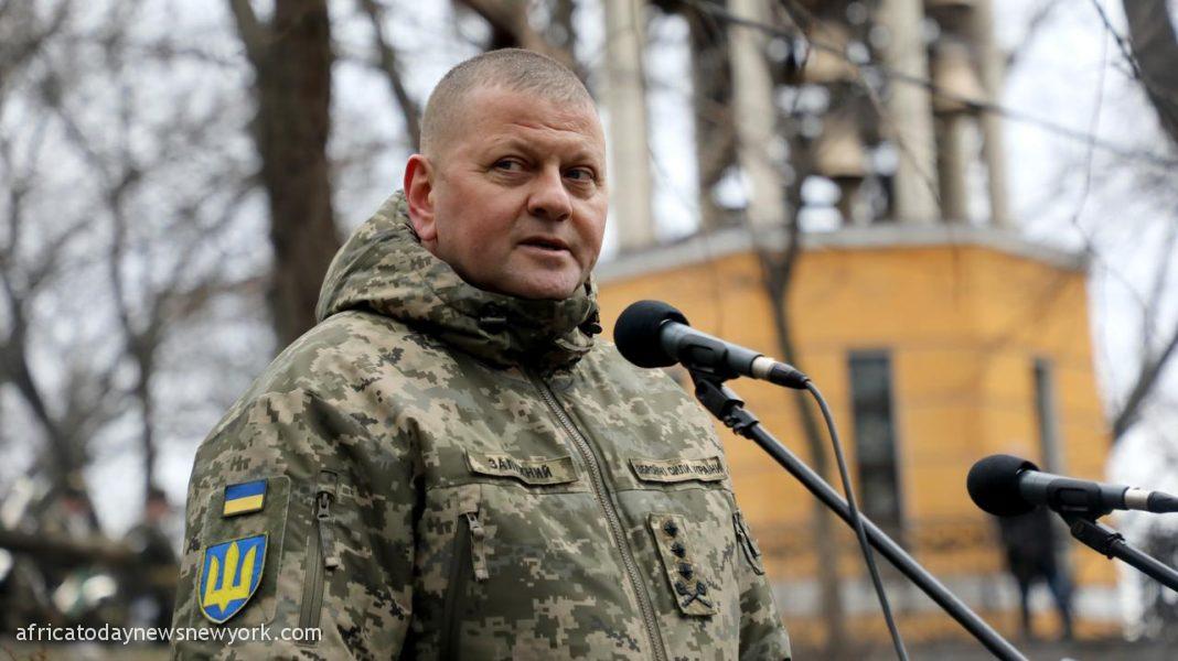 War Almost 9,000 Ukrainian Military Have Died - Army Chief