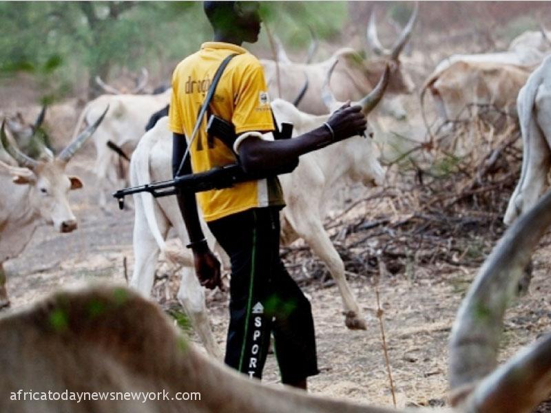 Four Herdsmen Arraigned Over Alleged Theft Of 52 Cattle