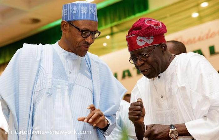 What Buhari Told Me When I Asked Him To Pick My VP - Tinubu