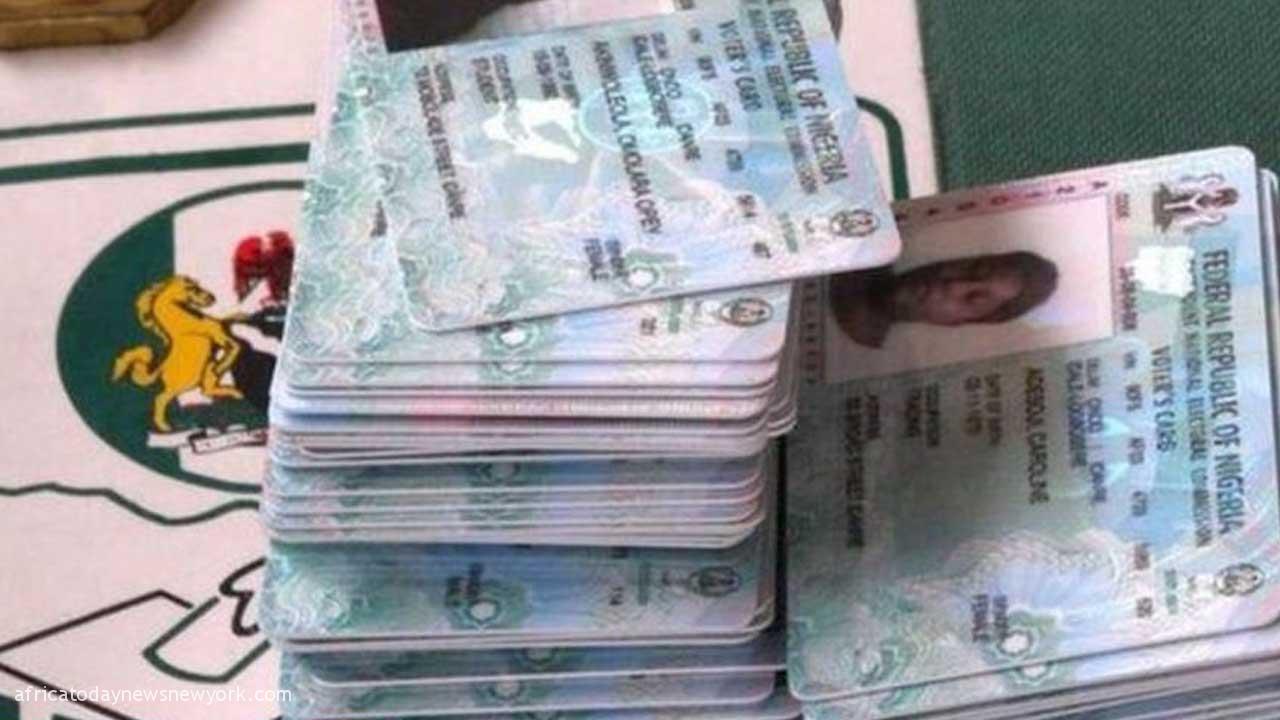 80% Of Adult Nigerians Have Collected PVCs – NOIPolls