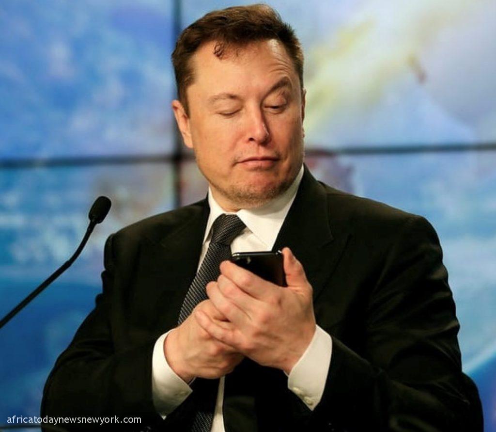 Twitter Musk Launches Overhaul, Sacks Many Workers