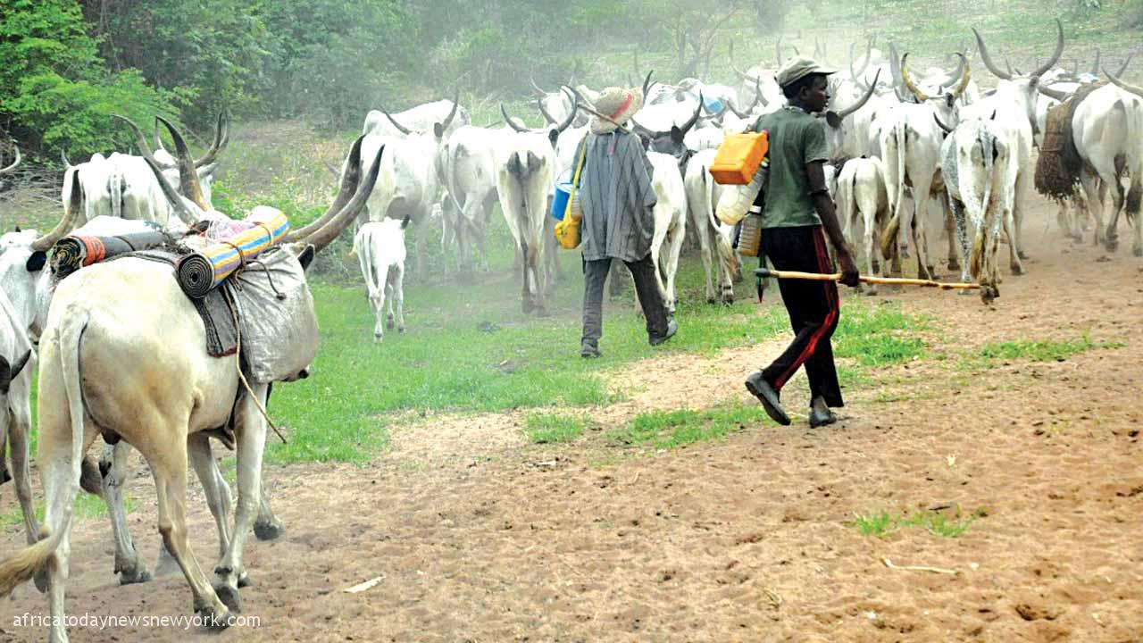Fear Grips Ogun Communities Over Planned Herdsmen Attack