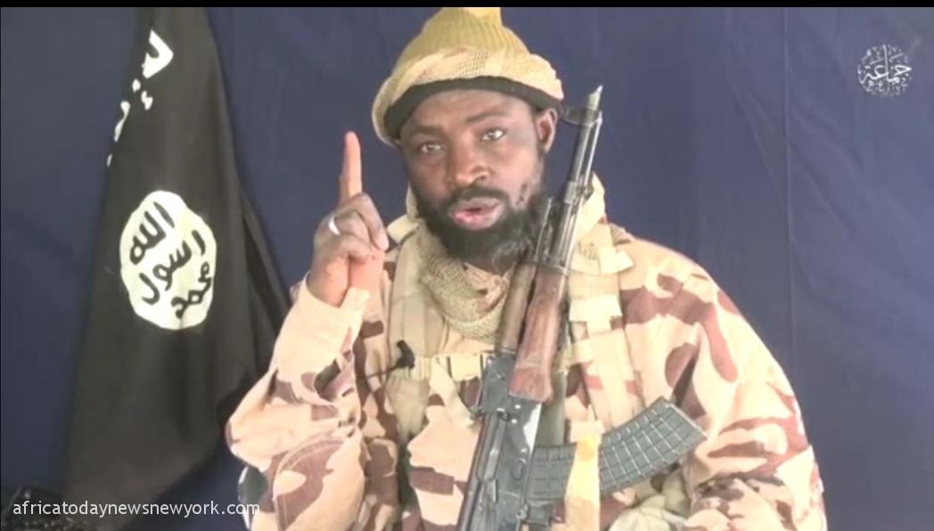 Shekau Left 83 Concubines Behind – Ex-Boko Haram Leaders