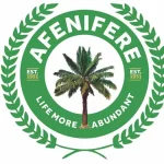 2023: Elections Must Hold As Scheduled, Afenifere Warns FG