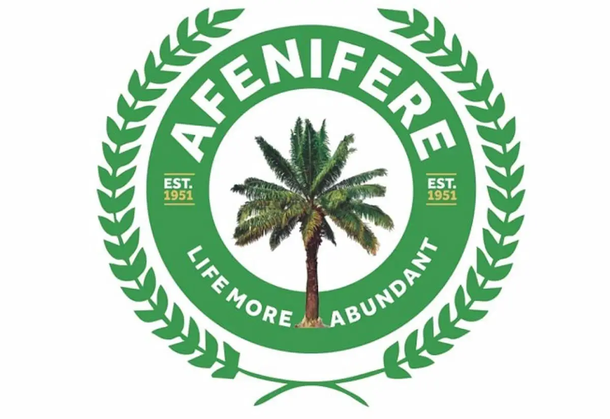 2023 Elections Must Hold As Scheduled, Afenifere Warns FG