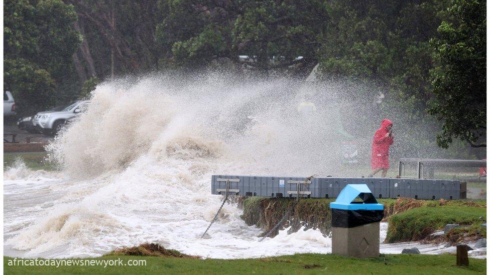 3 Killed, Scores Injured As Cyclone Hits New Zealand