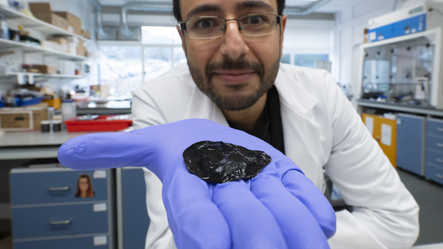 Edible Electronics: Scientists Develop Sensors Using Seaweed