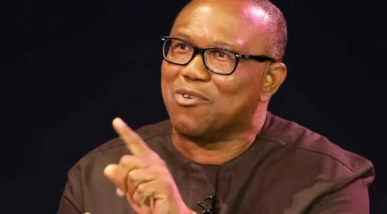 Nobody Can Force Me Out Of Nigeria, Peter Obi Declares