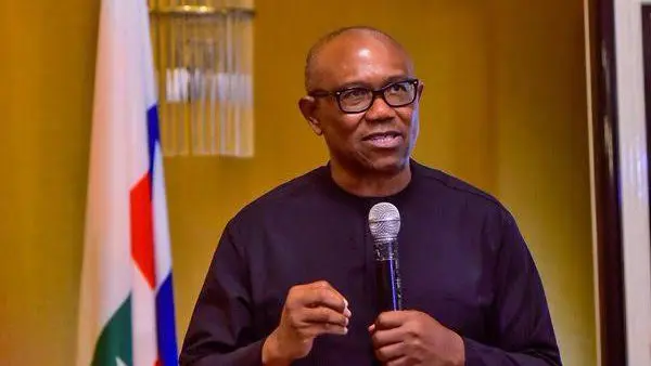 Peter Obi Not Planning To Leave Nigeria — Labour Party