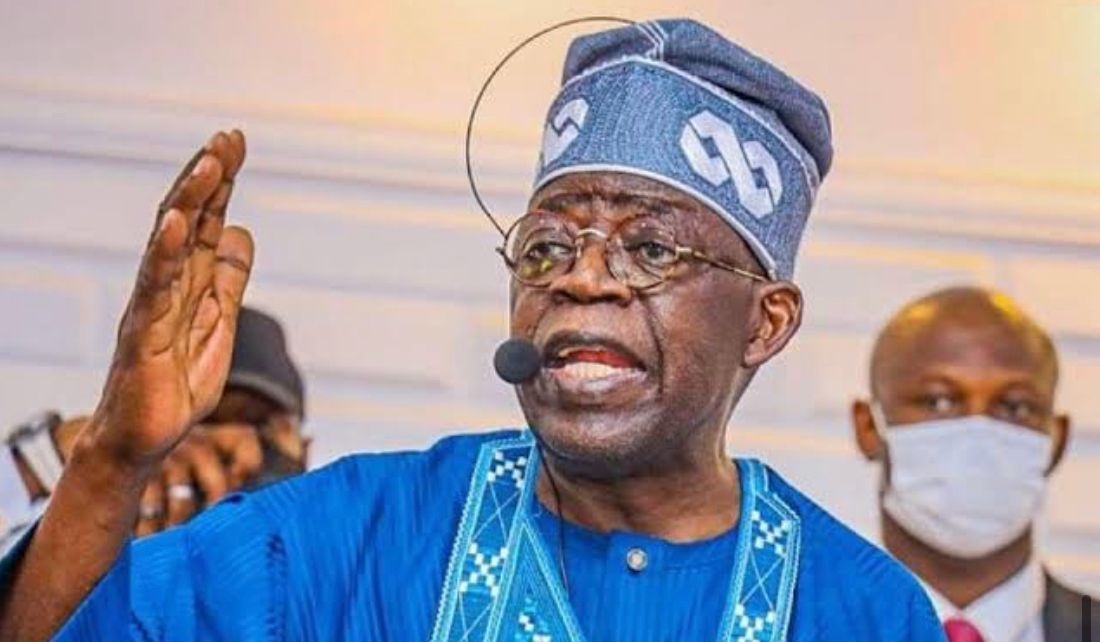 Tinubu Calls For Probe Of Adamawa Guber Election Controversy