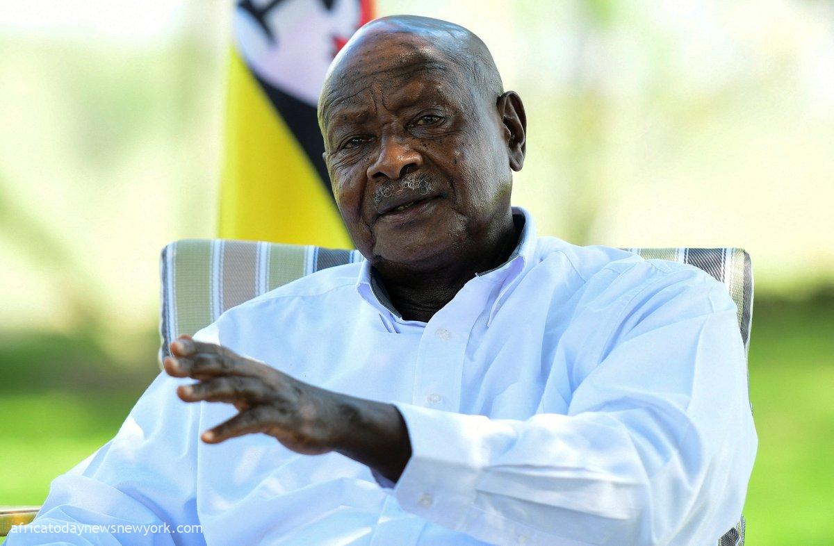 Anti-Gay Law: US To Consider Visa Restrictions On Uganda