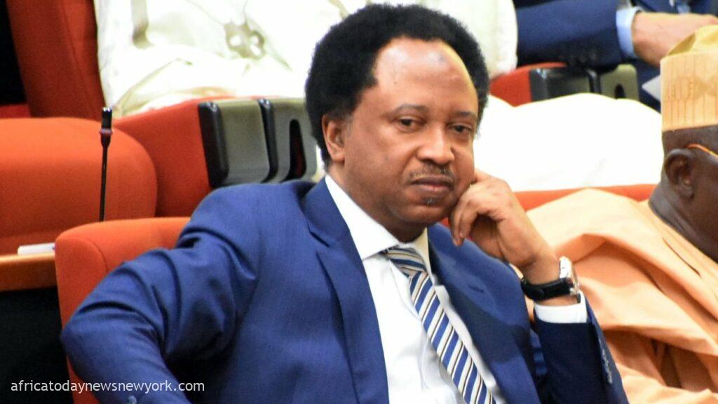 Debt Why Tinubu Must Probe Buhari’s Govt - Shehu Sani