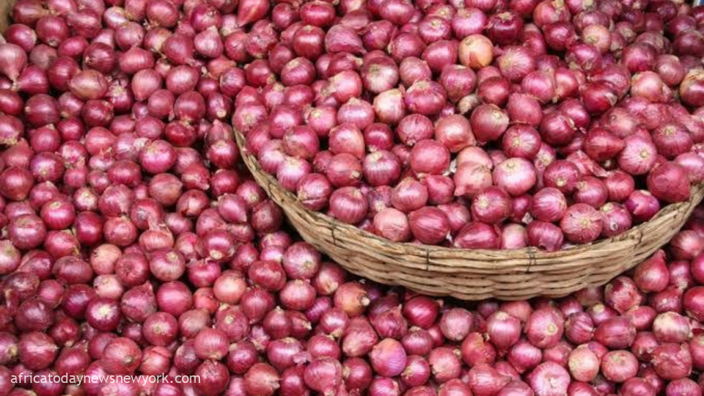 How Nigeria Loses Over ₦3bn On Onion Yearly – NOPMAN