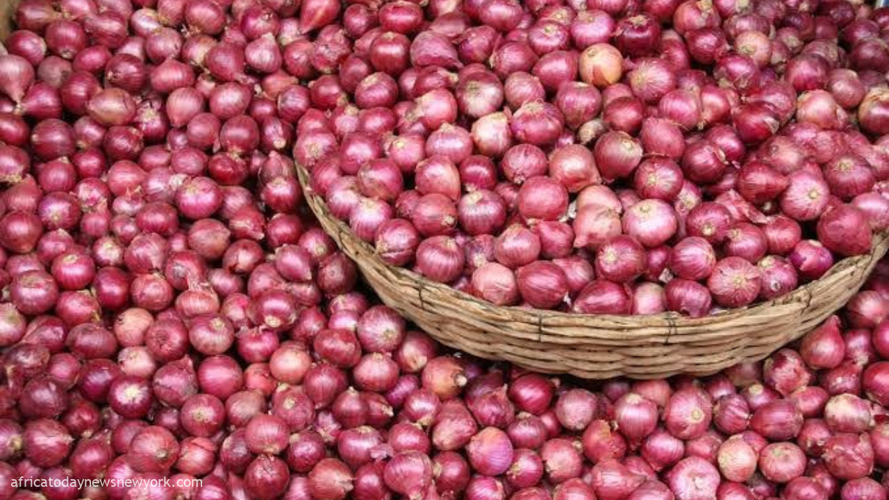 How Nigeria Loses Over ₦3bn On Onion Yearly – NOPMAN