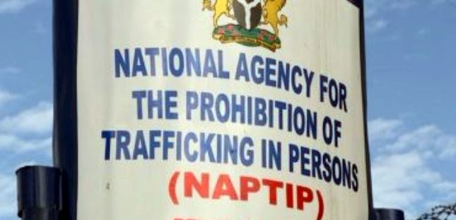 Many Nigerian Women Are Sexually Exploited In Iraq — NAPTIP