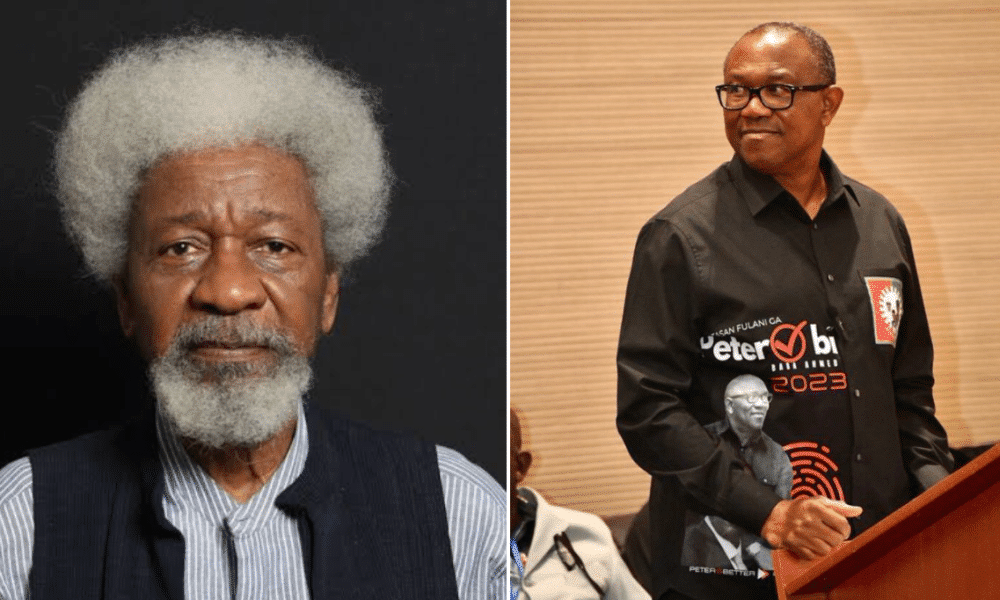 Obidients Face-Off Why I Visited Soyinka - Obi
