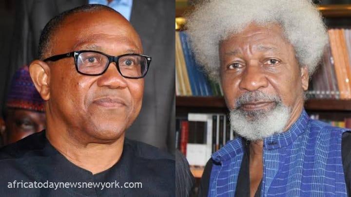 Obi's Visit To Me Was Not For 'Reconciliation' — Soyinka