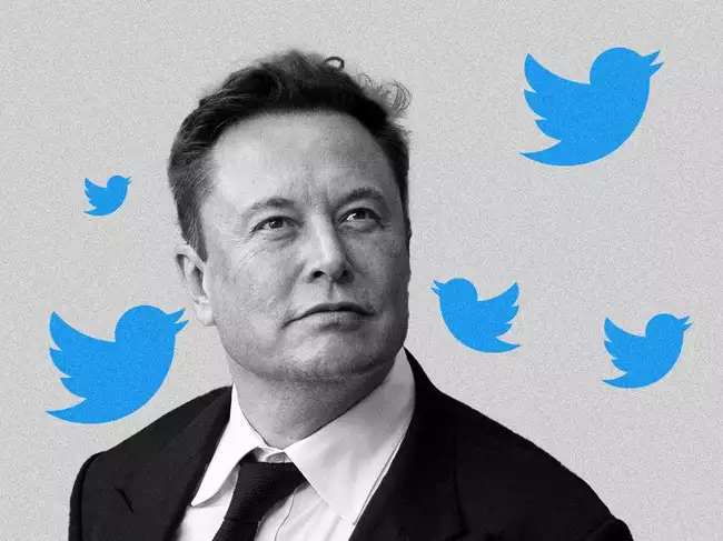 Twitter Currently Deleting Inactive Accounts, Musk Reveals