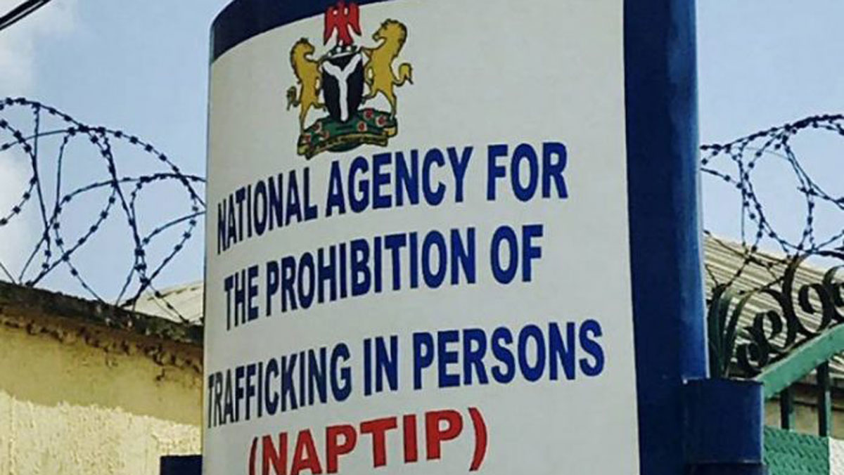Over 25,000 Trafficked Nigerian Girls Trapped In Mali –NAPTIP