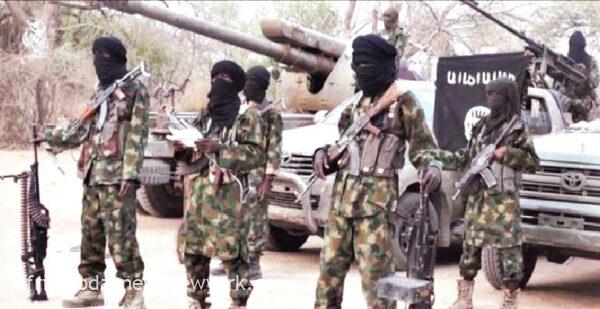 5 Die As Terrorists Fire Mortar Bombs Into Borno Community
