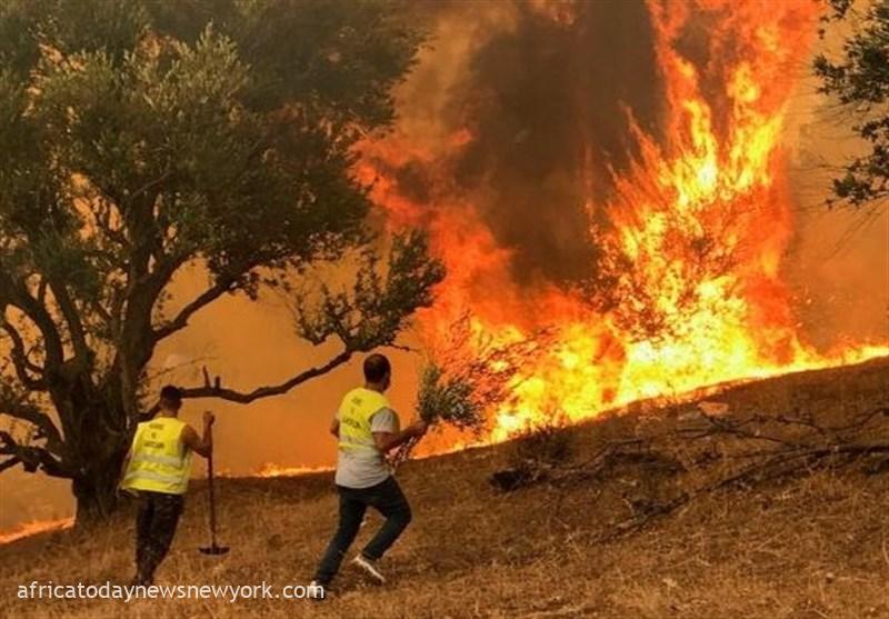 Dozens Die, Hundreds Flee As Wildfires Spread In Algeria