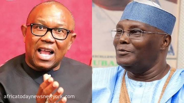 How INEC Closed Case In Obi, Atiku Petition With One Witness