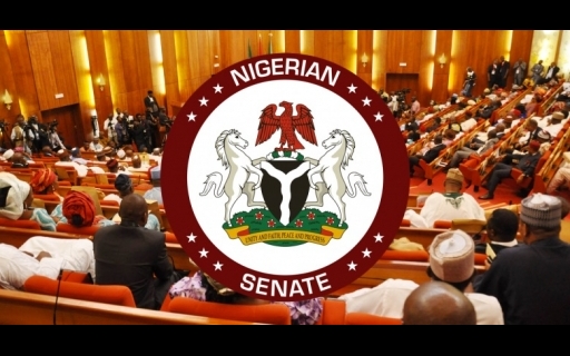 Nigeria: Senate To Abolish Age Restrictions In Job Advert