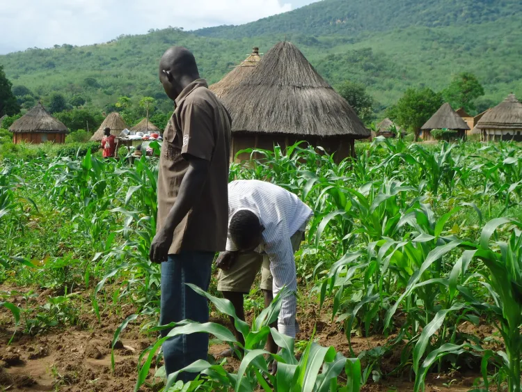 North's Agric Potential Can Feed 200M+ Nigerians - Don