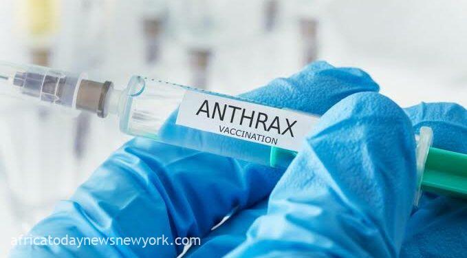 Panic As Nigeria Confirms First Case Of Anthrax