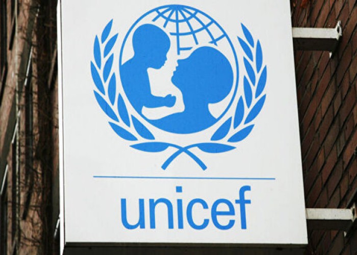 UNICEF Skeptical About Nigeria's 2030 Education Equality Goal