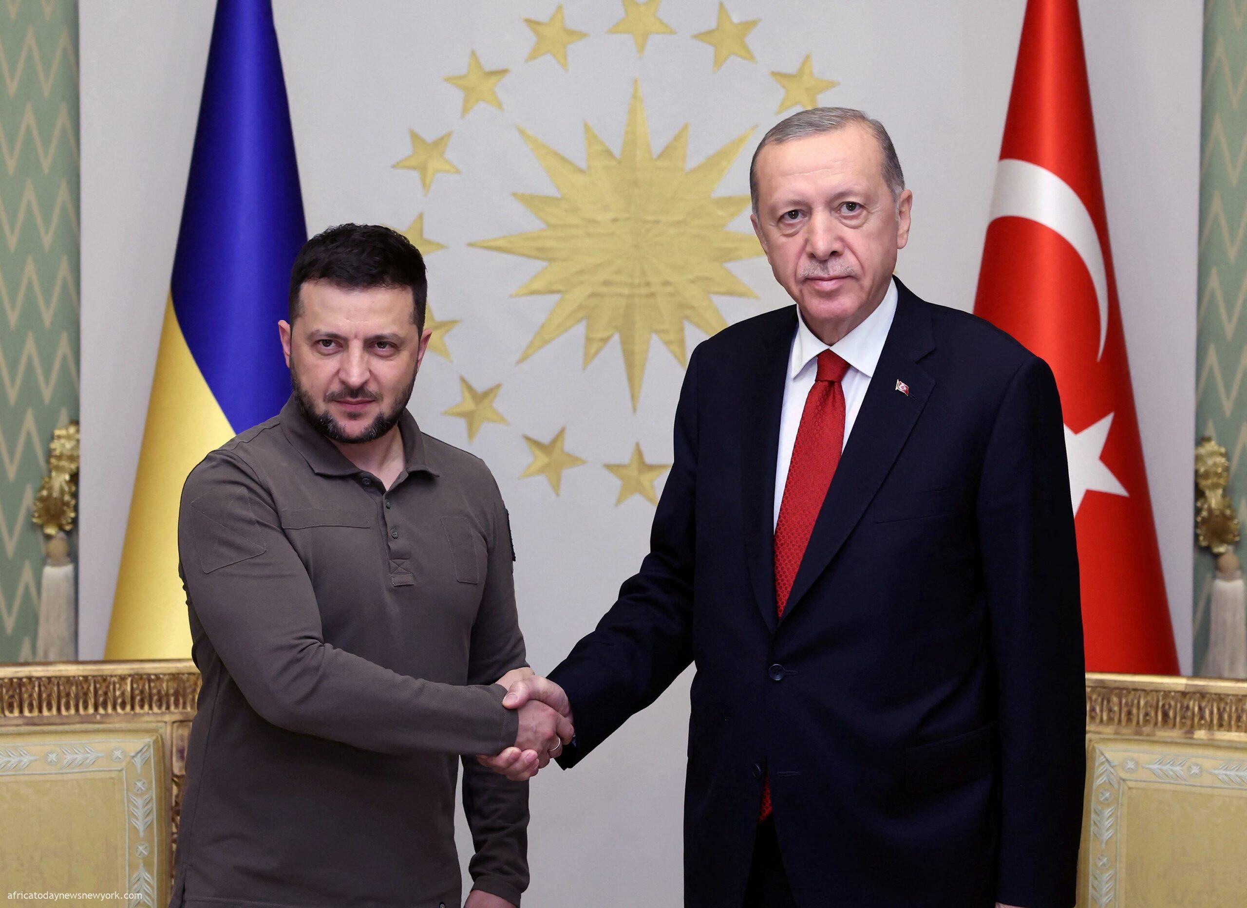 Ukraine ‘Deserves’ NATO Membership, Turkey’s Erdogan Declares