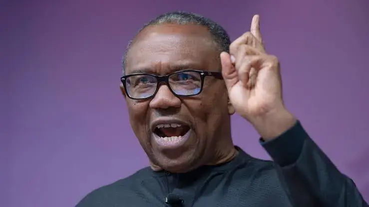 Why Nigeria Is Struggling To Combat Insecurity – Peter Obi