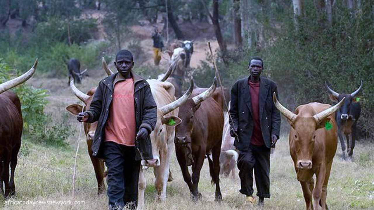 Fulani Herders Group Vow To End All Killings In Nigeria