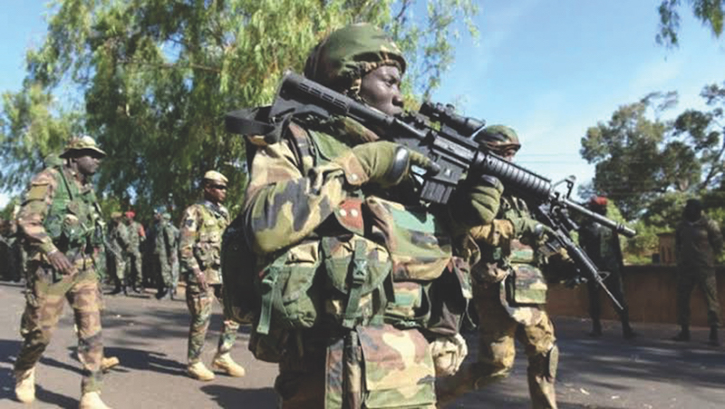 Nigerian Army In Niger Sans Senate's Approval Treason - MBF