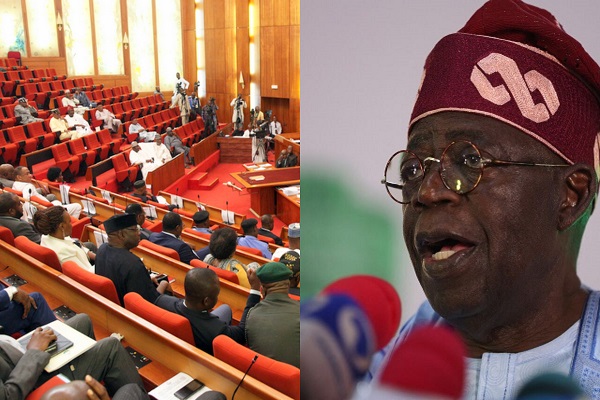 Senate Declines Tinubu's Niger Troop Deployment Appeal