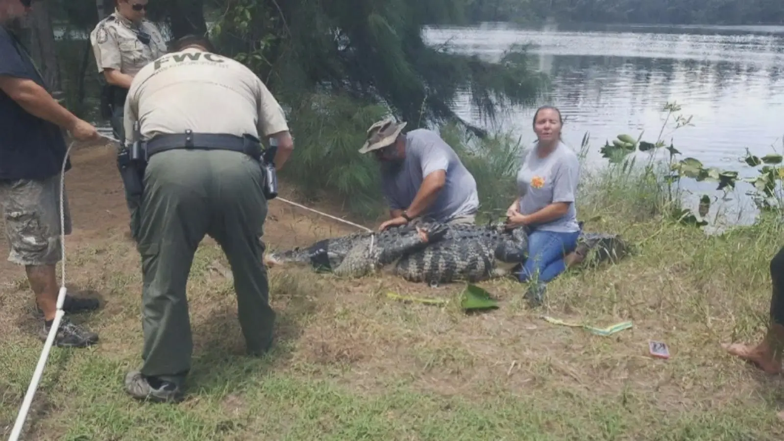 How Woman’s Body Was Found In Jaws Of Alligator In US