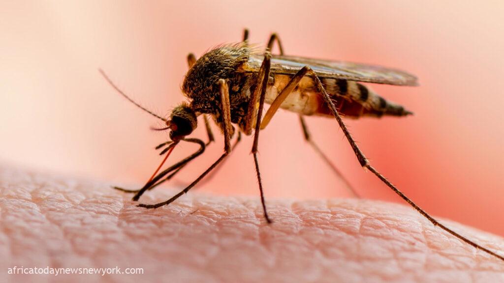 Nigeria Vows To Defeat Malaria, Bears 30% Global Burden