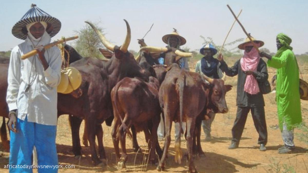 Palliatives For Herders Miyetti Allah Begs Federal Govt