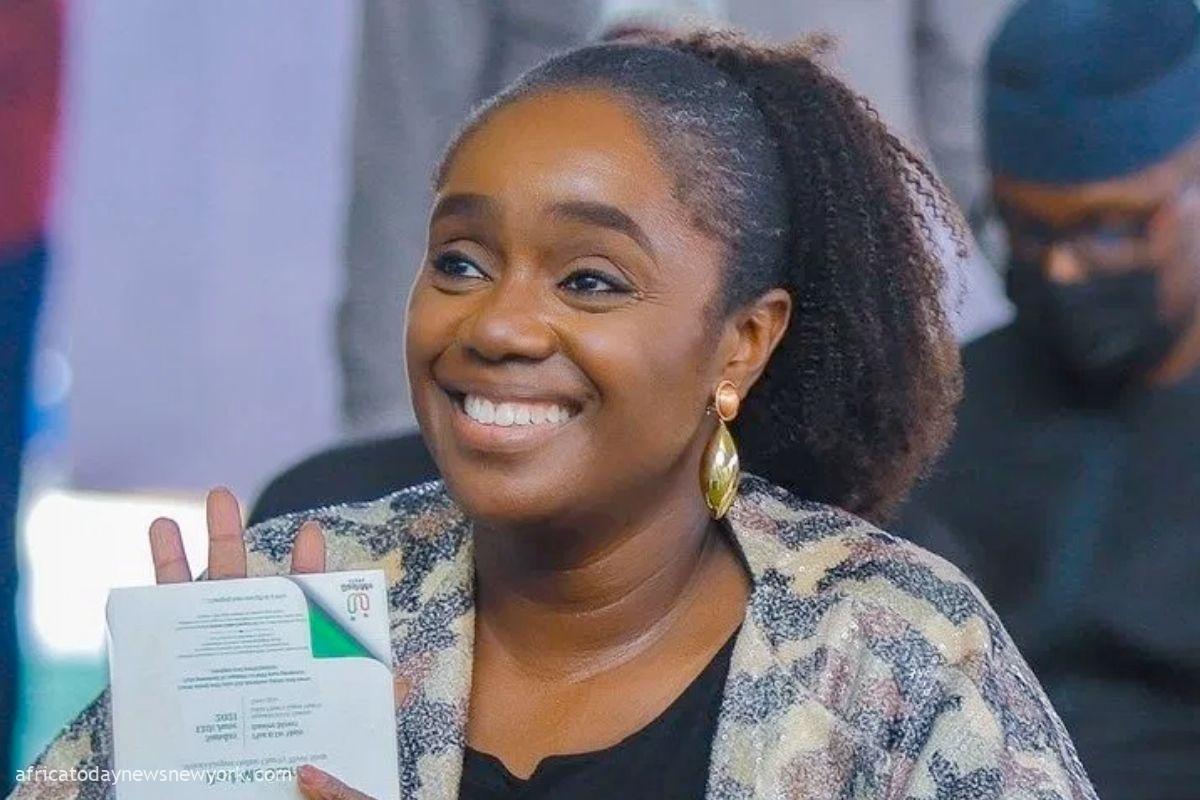 Adeosun Explains Reason For Debt Distress In African Nations
