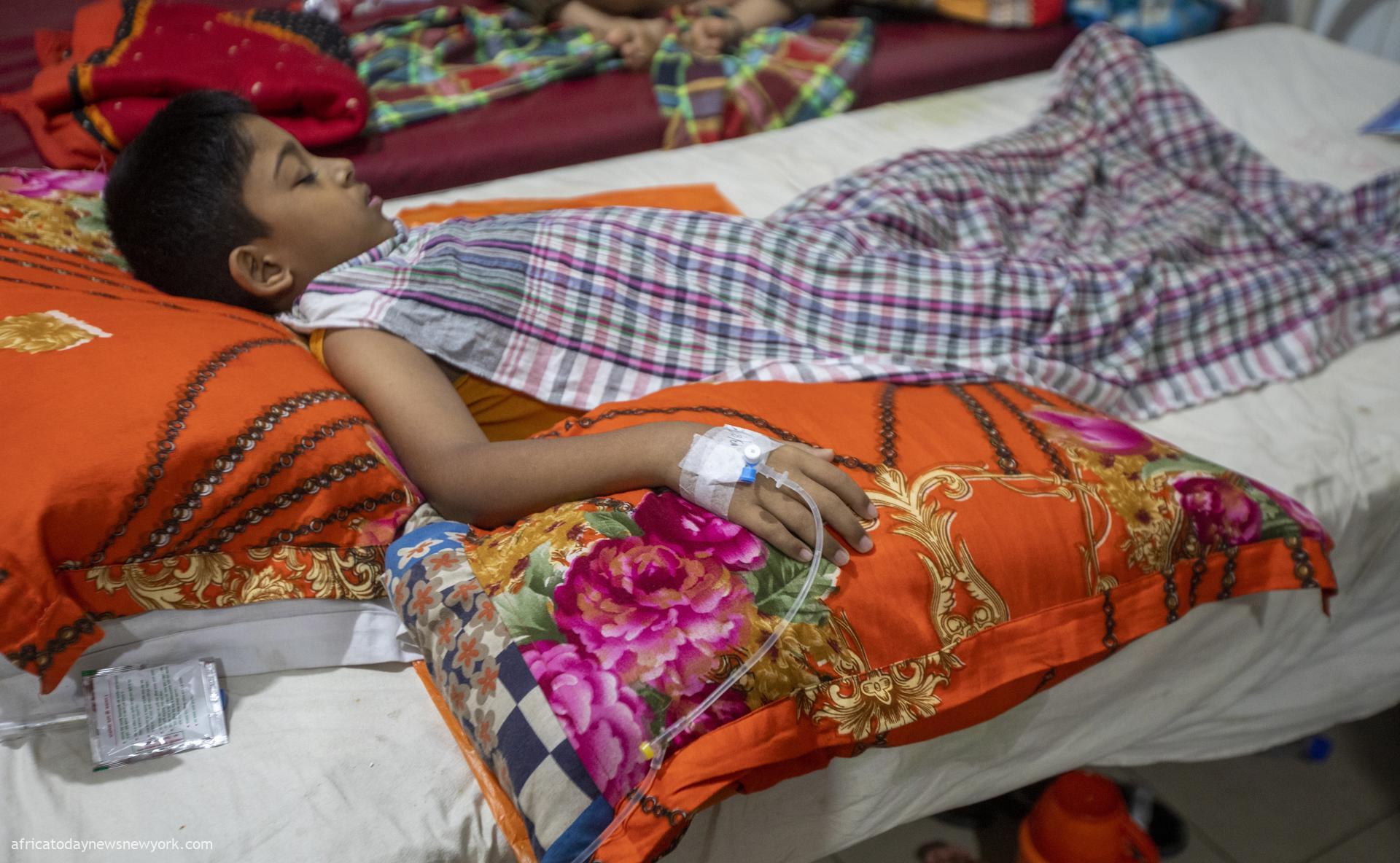 Dengue Crisis: Bangladesh Records Nearly 1,000 Fatalities