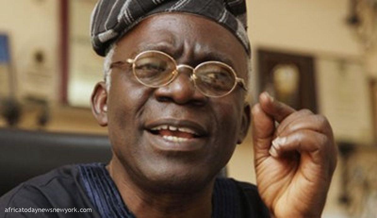 Judiciary Should Not Determine Winners Of Elections - Falana