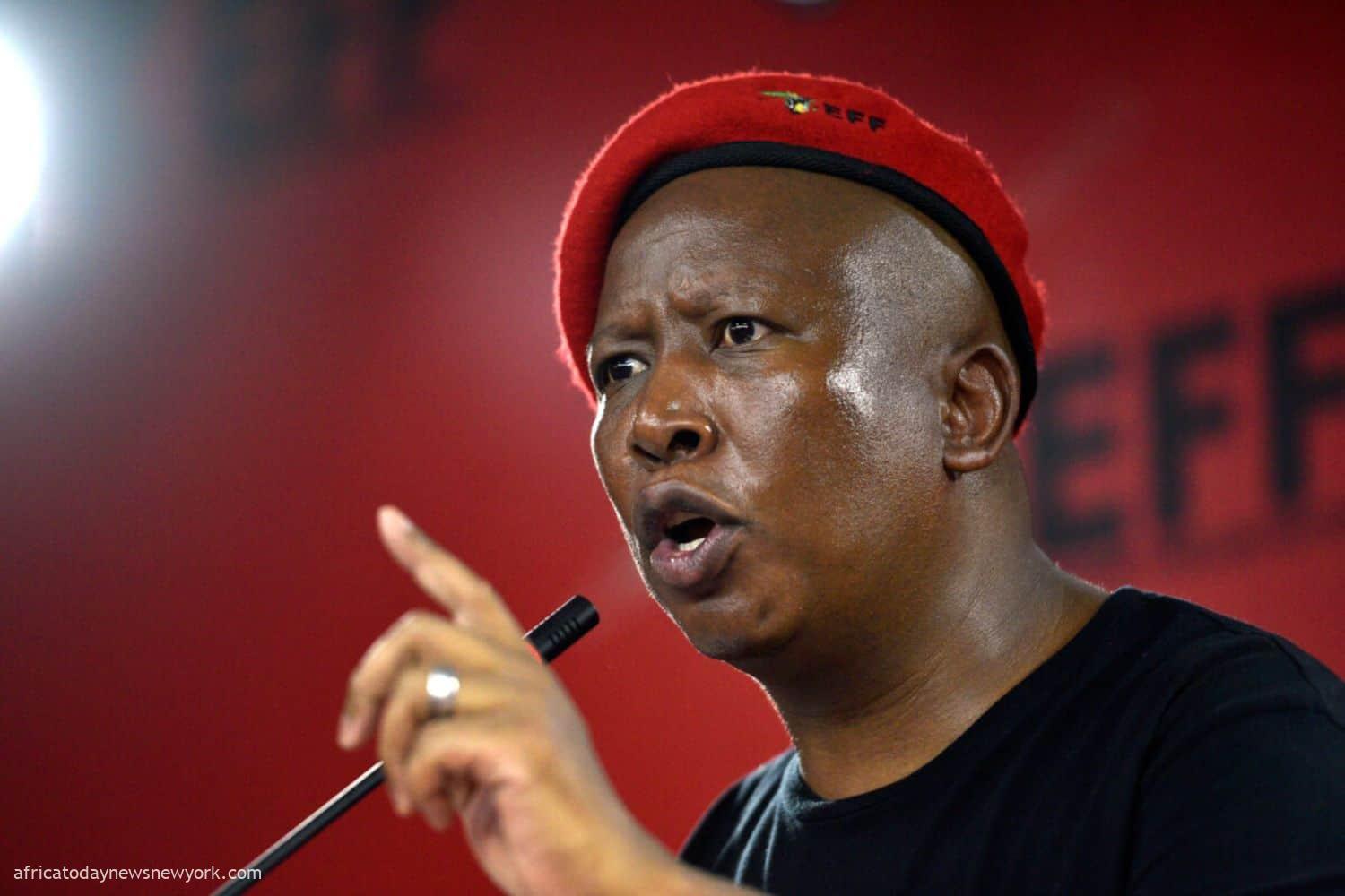 Malema Calls For Boycott Of Israeli Goods In South Africa