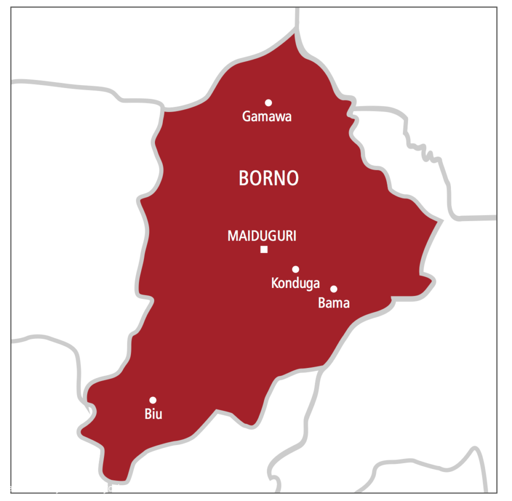 Boko Haram Strikes Again: 11 Loggers Beheaded In Borno
