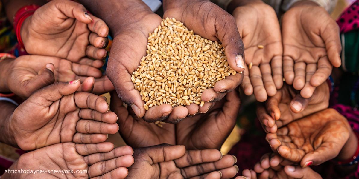 FAO: 2.6 Million Nigerians At Risk Of Food Insecurity In 2024