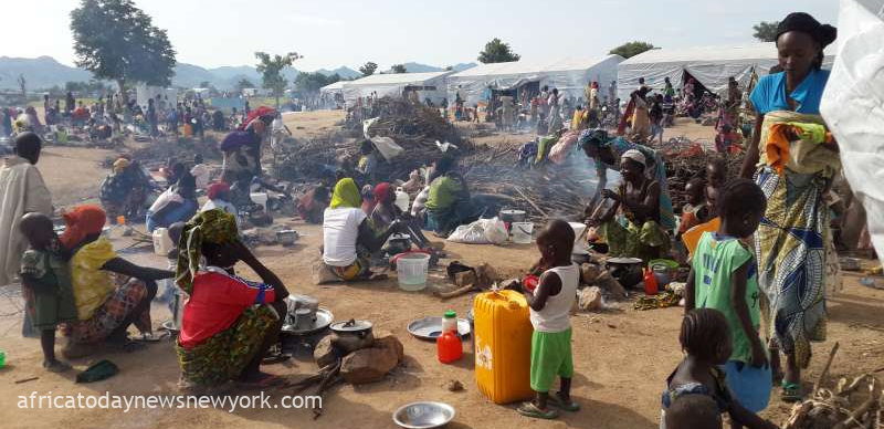 Nigeria Set To Evacuate Refugees From Cameroon, Niger, Chad