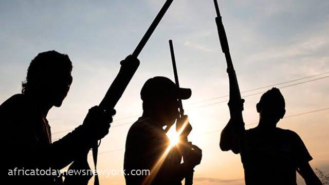 One Killed, Many Injured As Gunmen Invade Oyo National Park