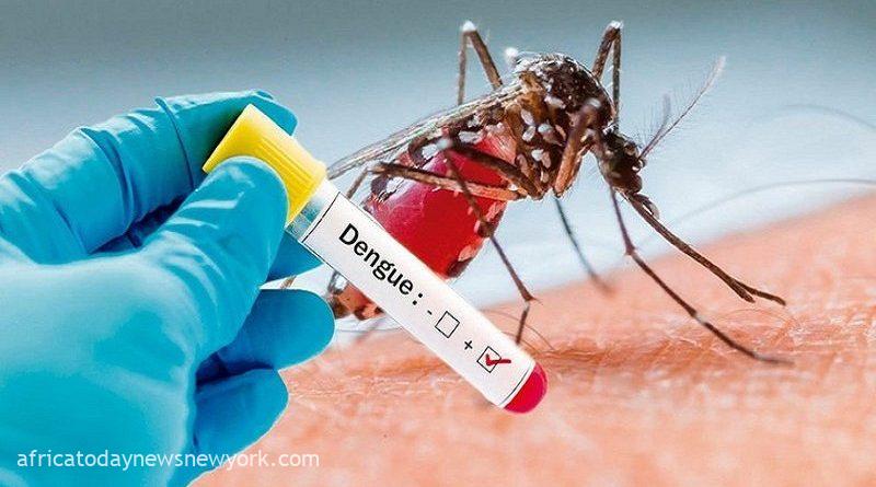Dengue Kills 5,000 Persons, Infects 5 Million Others Globally