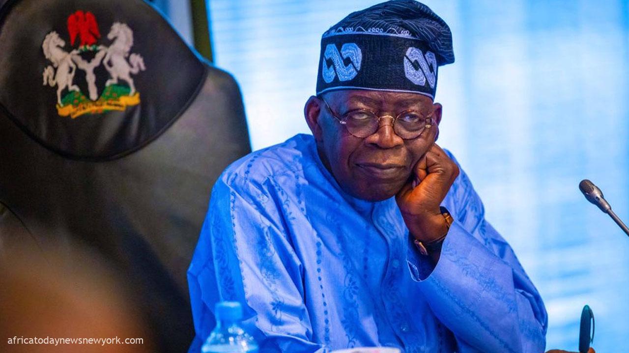 Nigeria Has Sufficient Manpower For National Devt - Tinubu