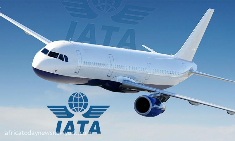 Real Reason Some Foreign Airlines May Quit Nigeria - IATA